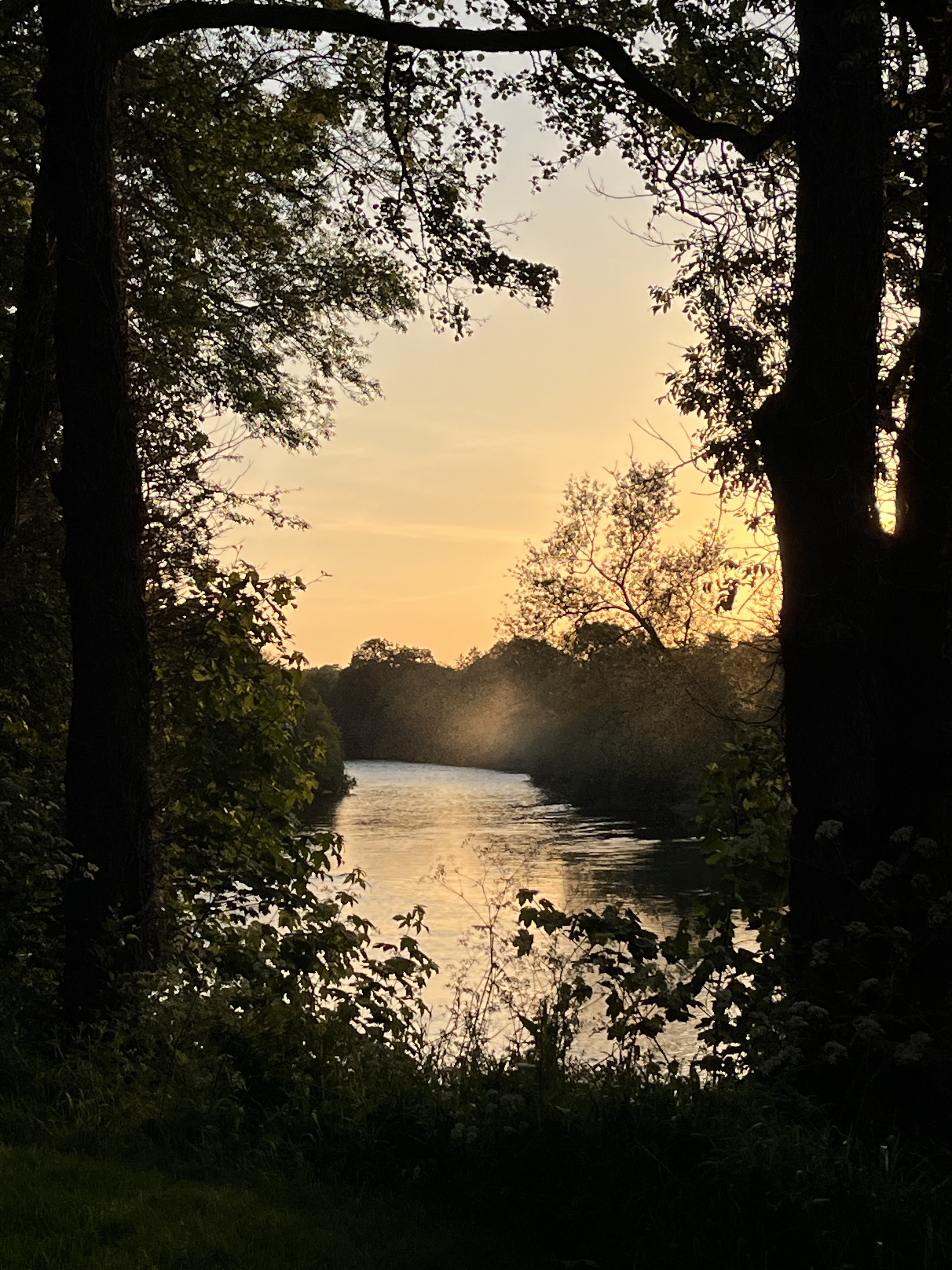 River view near hedgerows